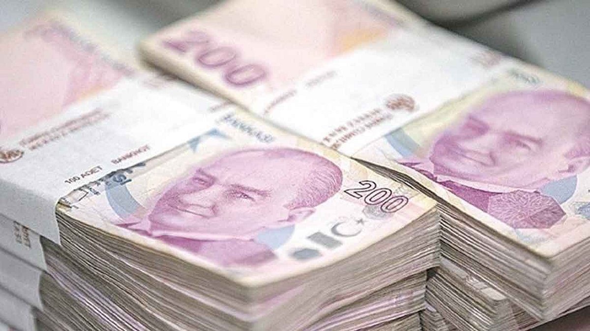 e-Devlet Üzerinde Gizli Ödemeler Sizi Bekliyor! SGK, İŞKUR, PTT ve SYDV