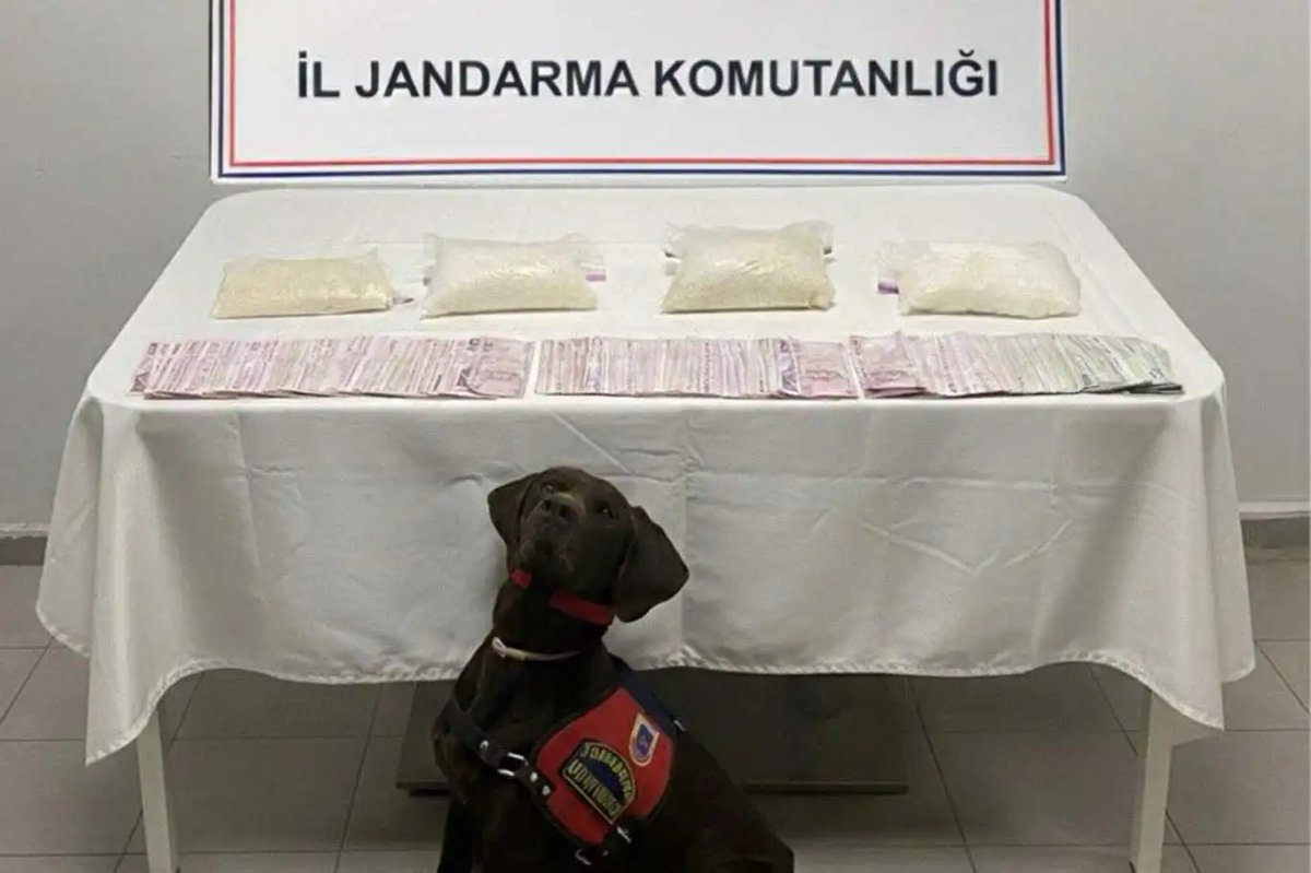 Şanlıurfa'da Uyuşturucu Baskını: 4 Kilo Sentetik Madde Yakalandı