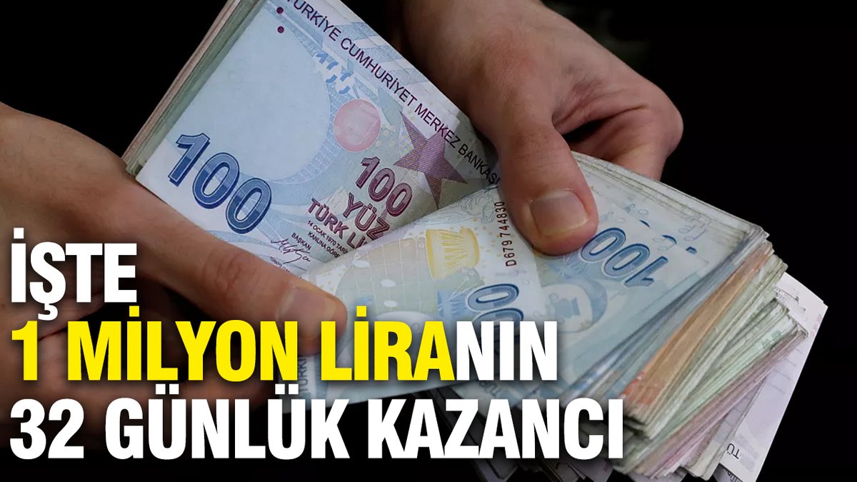 Bir Milyon Liranın 32 Günde Kazandırdığı Şaşırtıcı Miktar