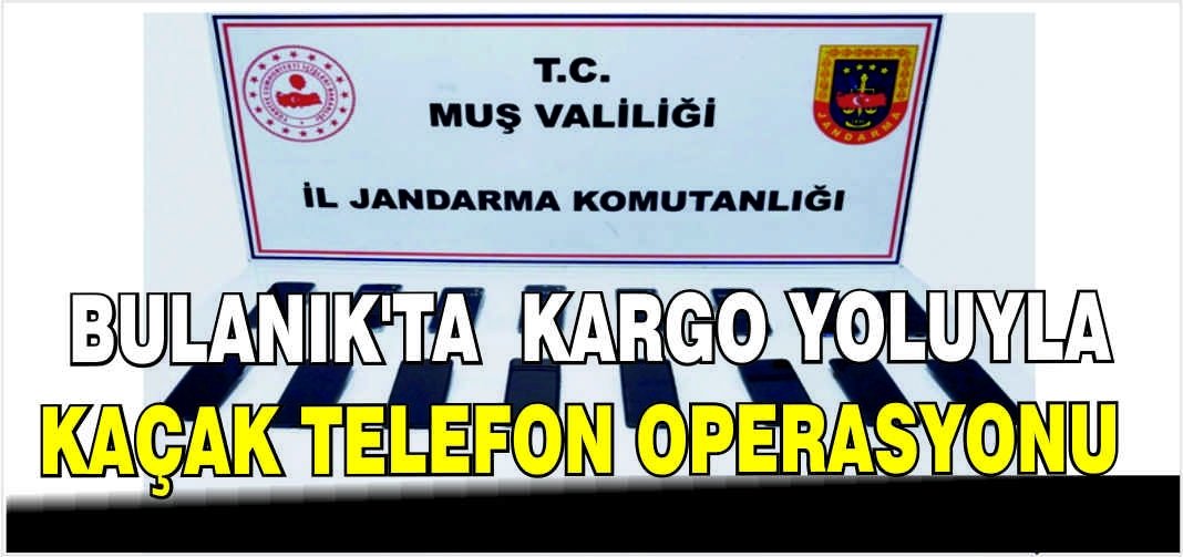 Bulanık’ta Kargo İle Yapılan Kaçak Telefon Baskını