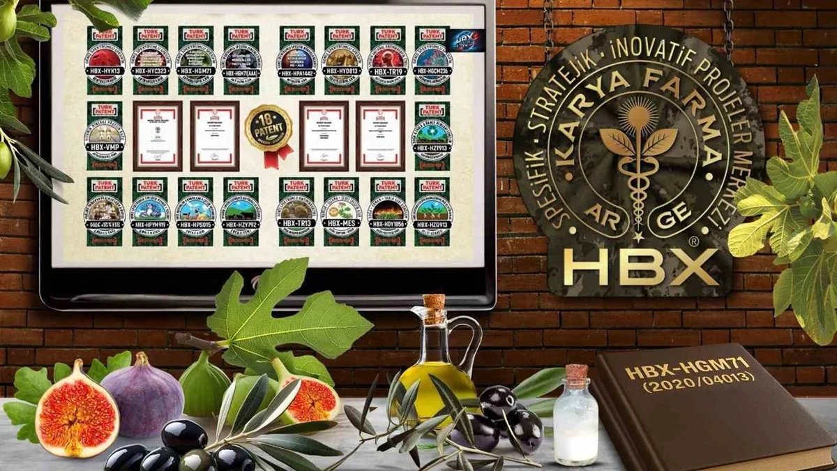 Aydın'da Karya Farma HBX, İncir ve Zeytin Araştırma Enstitüsü Açıyor