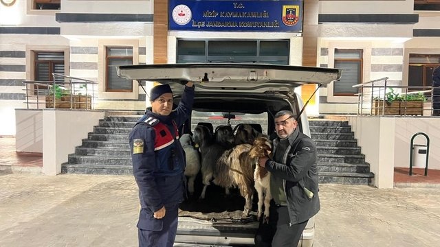 Sahte Parayla Hayvan Satın Alıp Besiciyi Dolandıranlar Tutuklandı