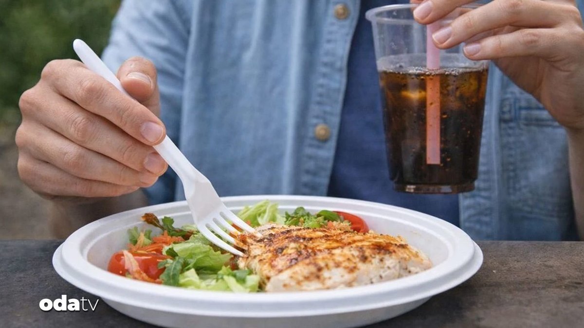 Plastik Çatal, Tabak Ve Pipetler Artık Kullanılamayacak