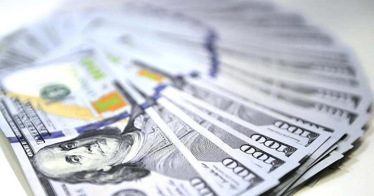 Dolar Değeri Tekrar Tarihsel Zirve Noktasına Yükseldi