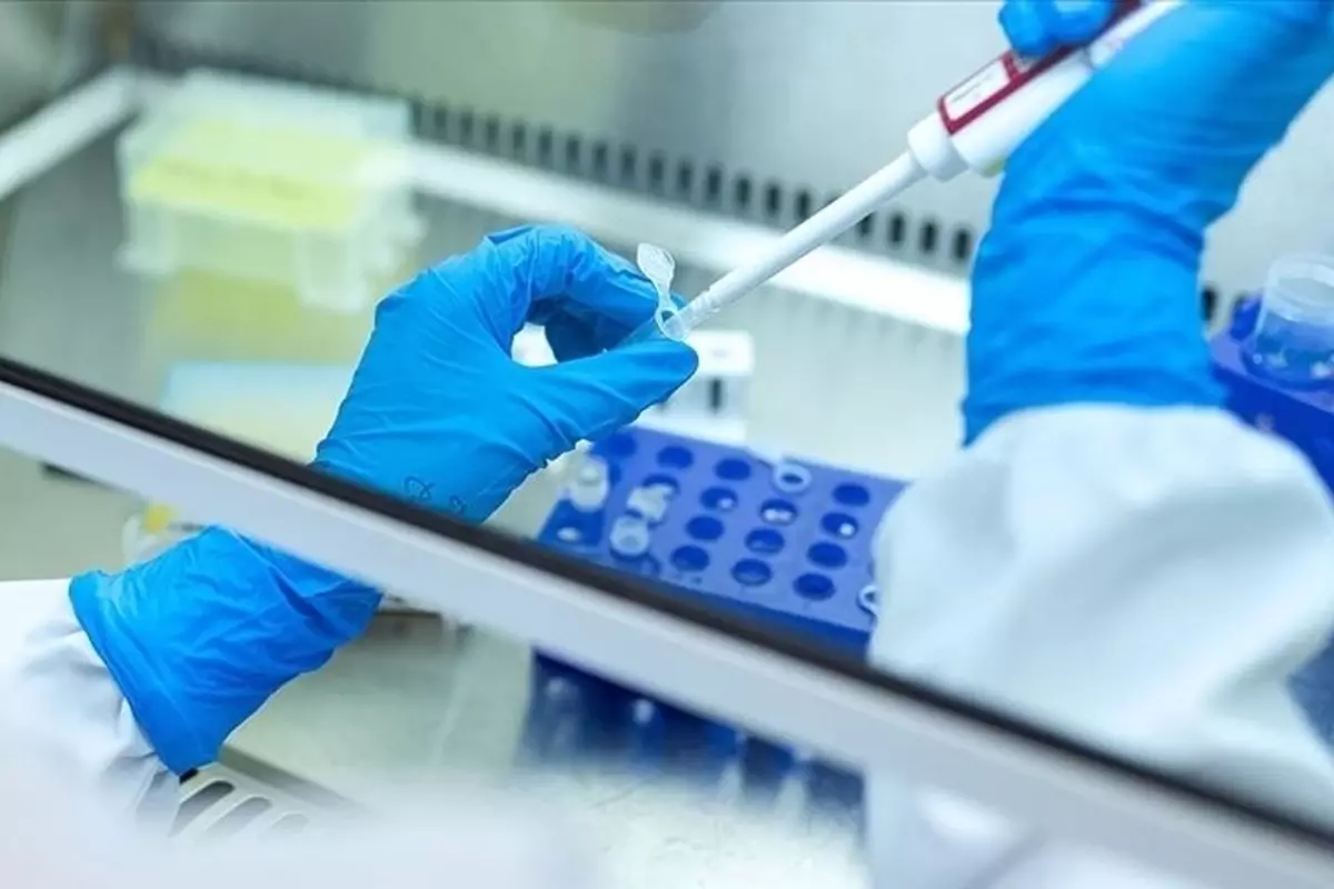 Kadın doğum kliniğinde skandal! İstanbul'dan ABD'ye "yumurta" kaçakçılığı