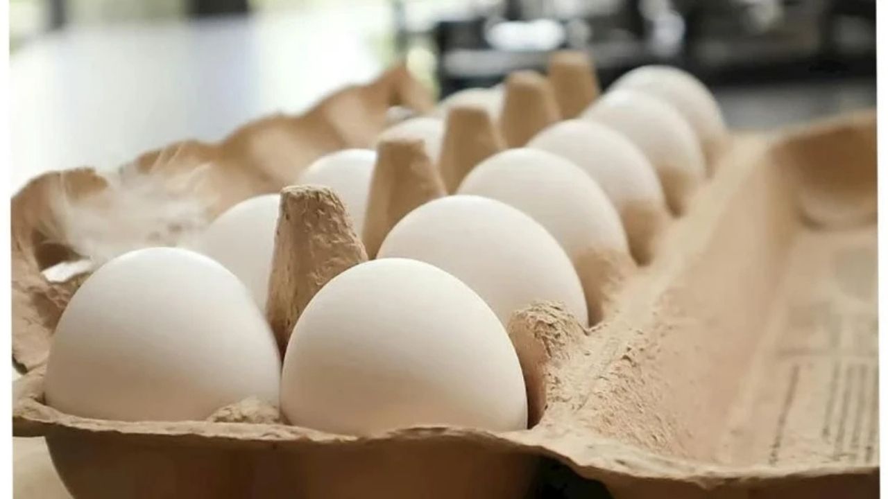 Yumurta Alırken Dikkat: Kolideki Bu İşareti Görürseniz Almayın