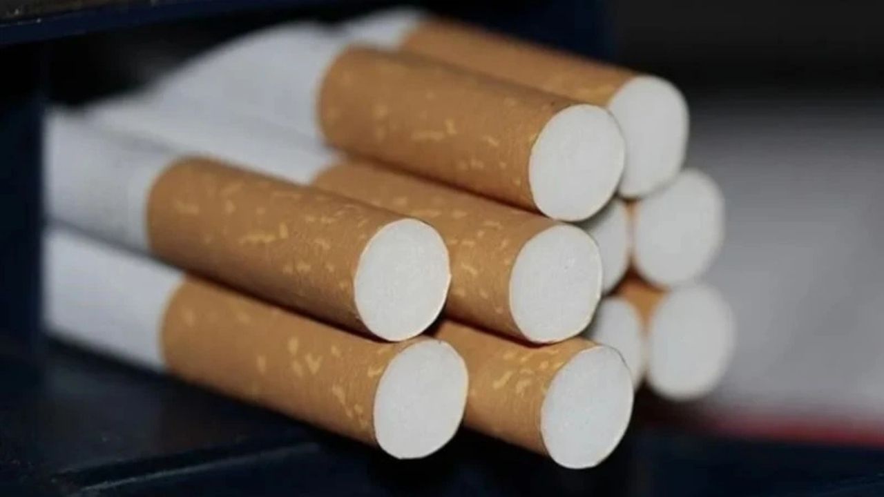 DSÖ’den Tütün Uyarısı: Kısırlık Riskini Artırabilir