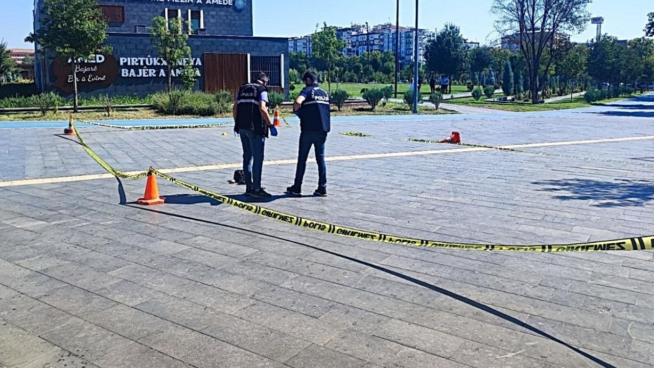 Diyarbakır’da Eski Eş Cinayeti Şüpheli Takipte İntihar Etti
