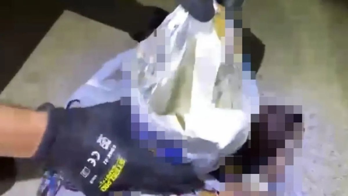 Balıkesir’de Dev Uyuşturucu Operasyonu! Cips Paketlerinden 206 Kiloluk Bonzai Hammaddesi Çıktı