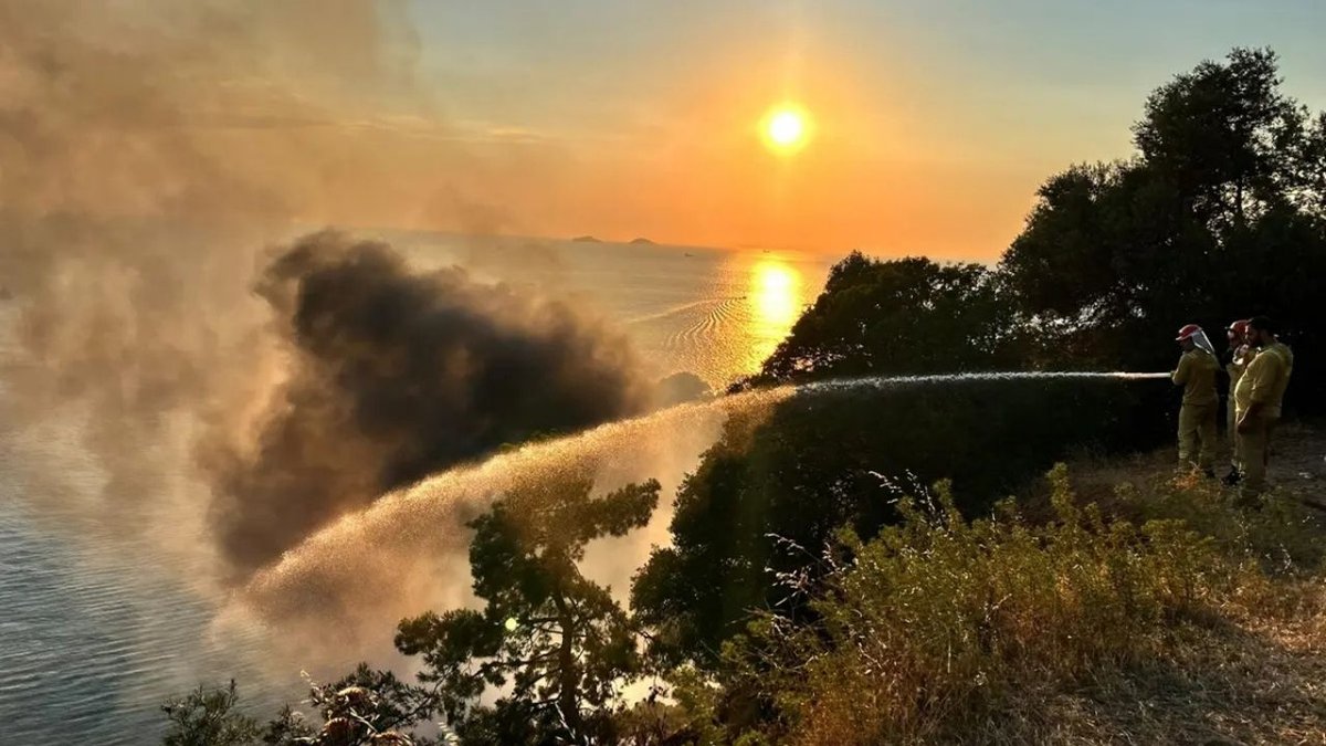 Büyükada Viranbağ Plajında Yangın Paniği Alevler Kısa Sürede Yayıldı
