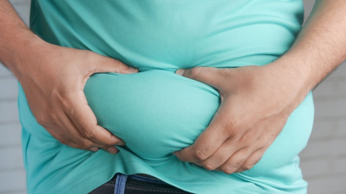 Bilim Dünyasında Çığır Açan Keşif Tek Protein Kapatıldığında Yağ Yakımı Hızlanıyor
