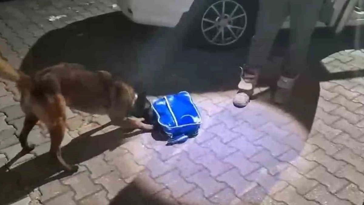 Kuzey Marmara Otoyolunda Narkotik Operasyonu Uyuşturucu Sevkiyatı Engellendi