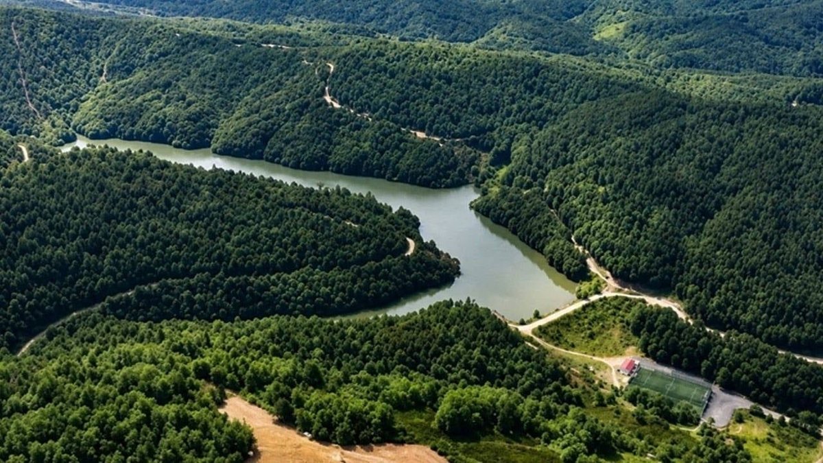 Mahkeme kararına rağmen RES projesine yeniden onay: Kuzey Ormanları’nda binlerce ağaç riski
