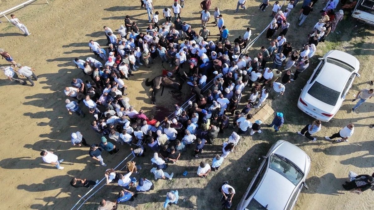 Kastamonu’da At Yarışında Feci Kaza: İki At Telef Oldu