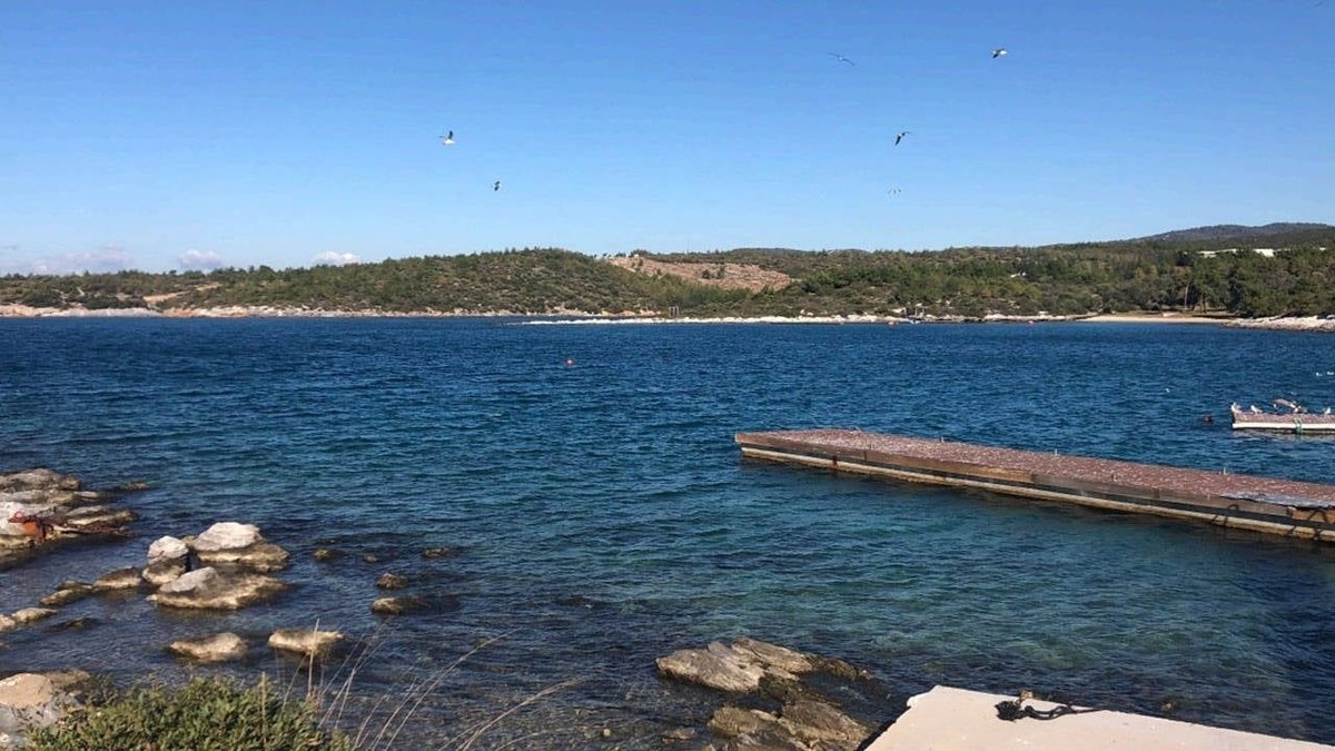 Milas’taki Dev Marina Projesine ÇED Onayı Verildi