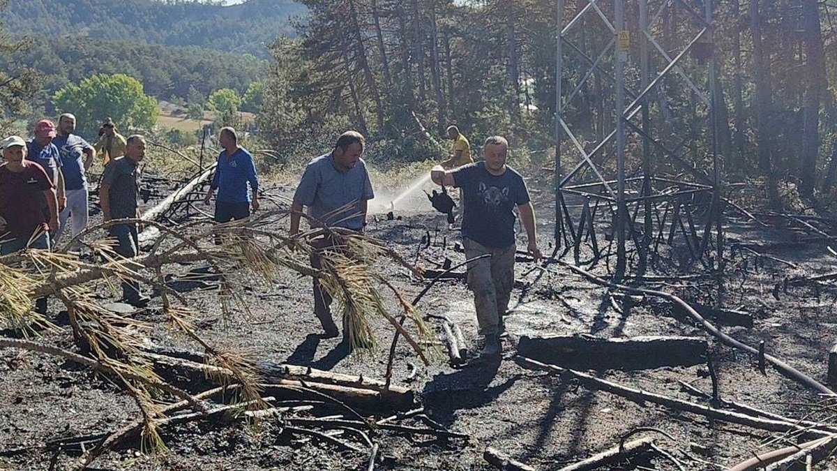 Bolu’da Yüksek Gerilim Hattına Kapılan Kuş Orman Yangınına Yol Açtı