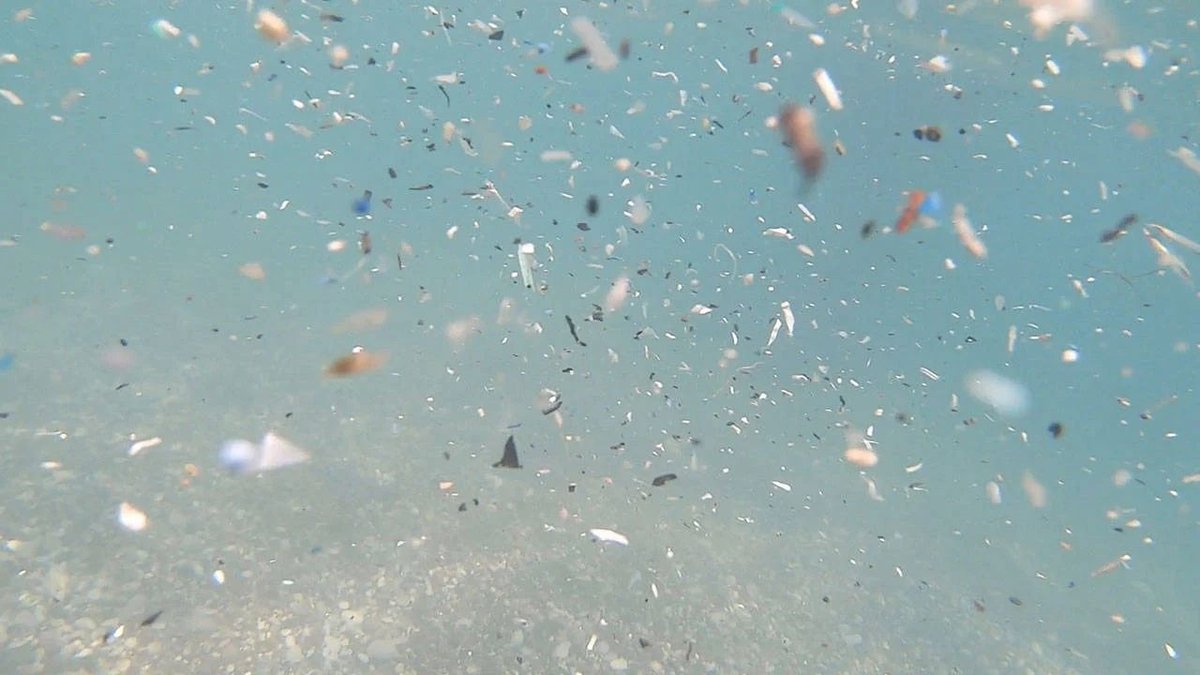 Akdeniz’de mikroplastik tehlikesi büyüyor: Deniz canlıları ve insan sağlığı risk altında