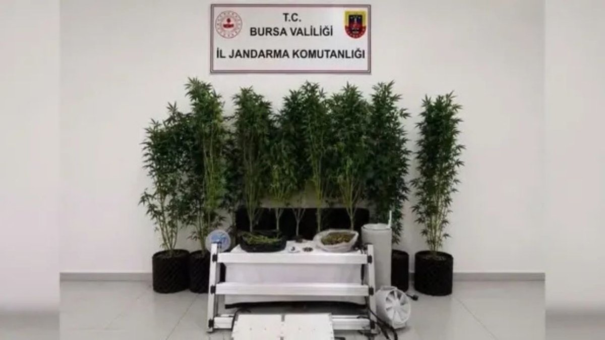 20 İlde Uyuşturucu Operasyonu: 580 Kilo Madde Ele Geçirildi