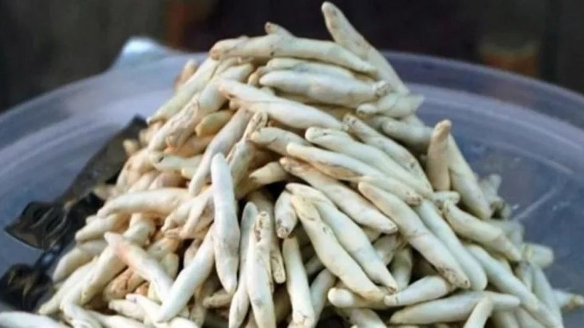 Doğanın Sundukları: Şifa Kaynağı Olarak Faydaları