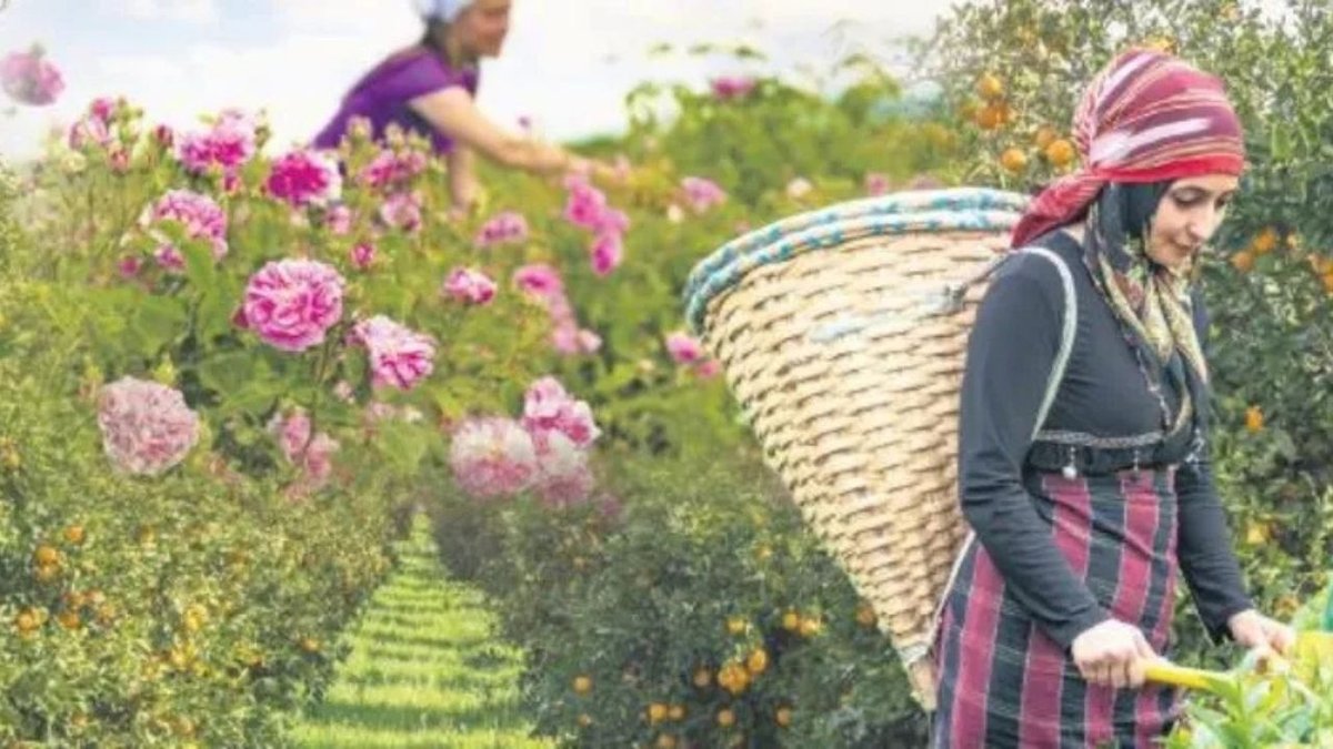 Toprağa Geri Dönüş: Türkiye'nin Eşsiz Tarım Turizmi Maceraları