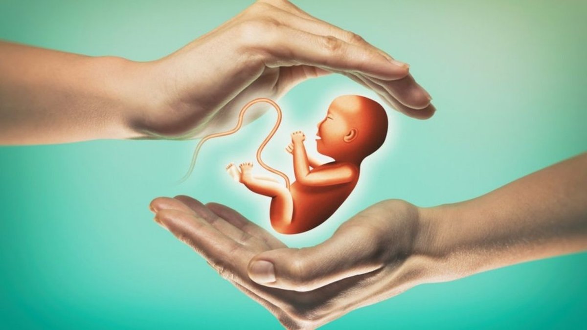 Tüp Bebek Tedavisi Nedir? Kimlere Uygulanır ve Nasıl Yapılır?