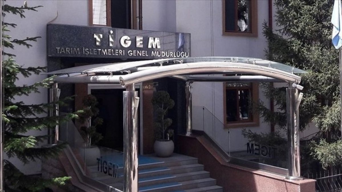 TİGEM 400 Küçükbaş Hayvan İçin İhale Sürecini Başlattı
