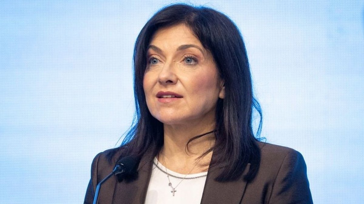 Almanya Ekonomi Bakanı'ndan Rus Gazıyla İlgili Türkiye Yorumu
