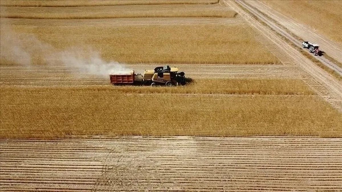 2026 Tarımsal Destek Ödemeleri Hesaplara Aktarılıyor: 195,6 Milyon Lira Kimlere Verilecek
