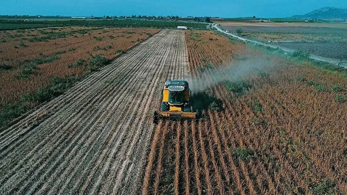 Çiftçilere Müjde: 195,6 Milyon Liralık Tarımsal Destek Ödemesi Başladı