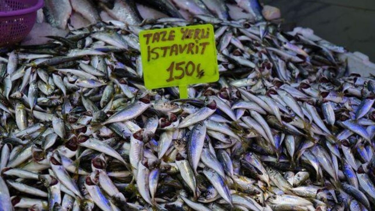 Balık Sezonu Açıldı: Palamut Tezgahlarda 150 TL