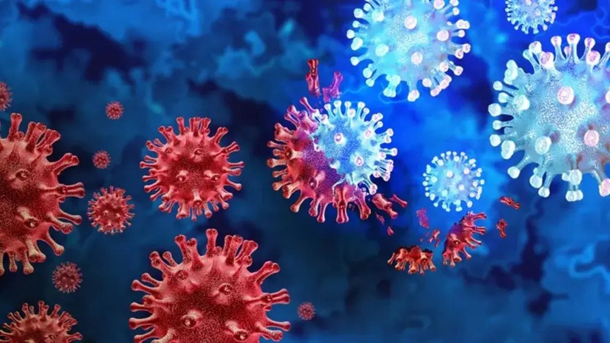 Ebola Virüsü Alarmı! DSÖ’den Kritik Uyarı: Belirtileri Ve Ölüm Riski Endişe Yarattı
