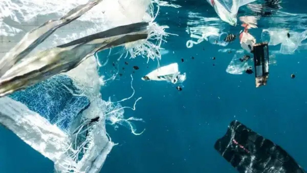 Deniz Yatağındaki Plastik Atıkların Tespitinde Yapay Zeka Kullanılacak