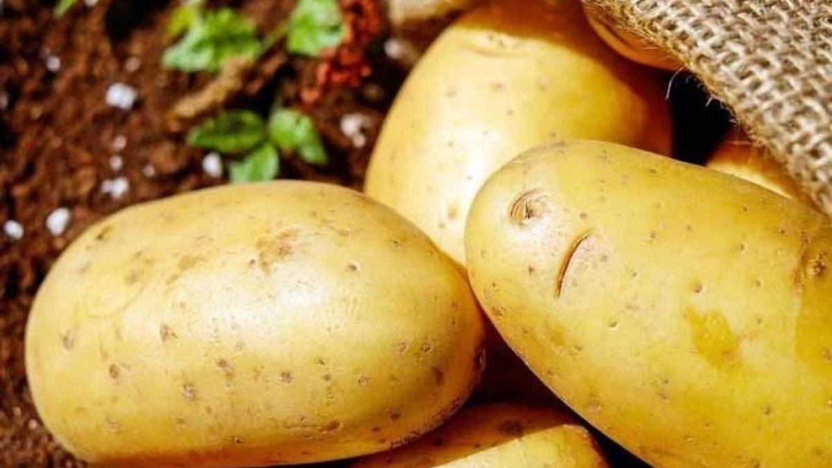 Patates Tüketiminde Dikkat: Orta Yaş ve Üzeri İçin Riskler Artıyor
