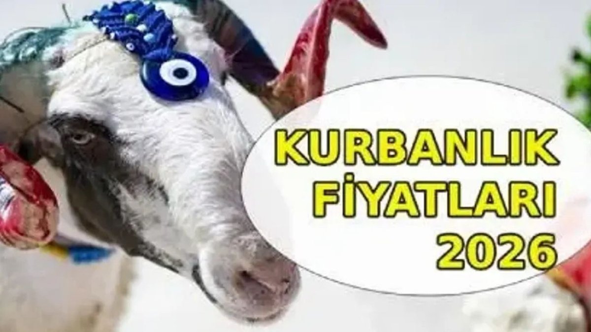 2026 Kurban Fiyatları Belli Oldu! İşte Büyükbaş ve Küçükbaş Kurbanlıkların Satış Fiyatları ve Diyanet'in Vekaletle Kurban Kesim Bedeli