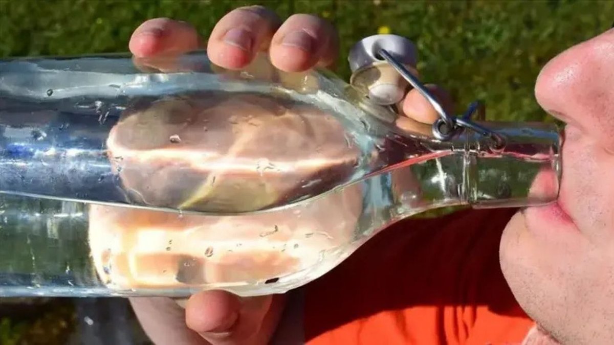 Günde Kaç Litre Su İçmek Gerçekten Sağlıklı? Uzmanlar Uyarıyor