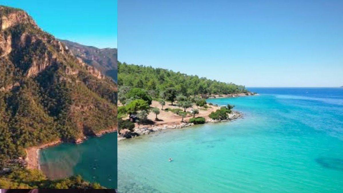 Milas Gürçamlar Ormanı ve Sahili: Şehirden Kaçıp Huzur Bulacağınız Doğa Cenneti