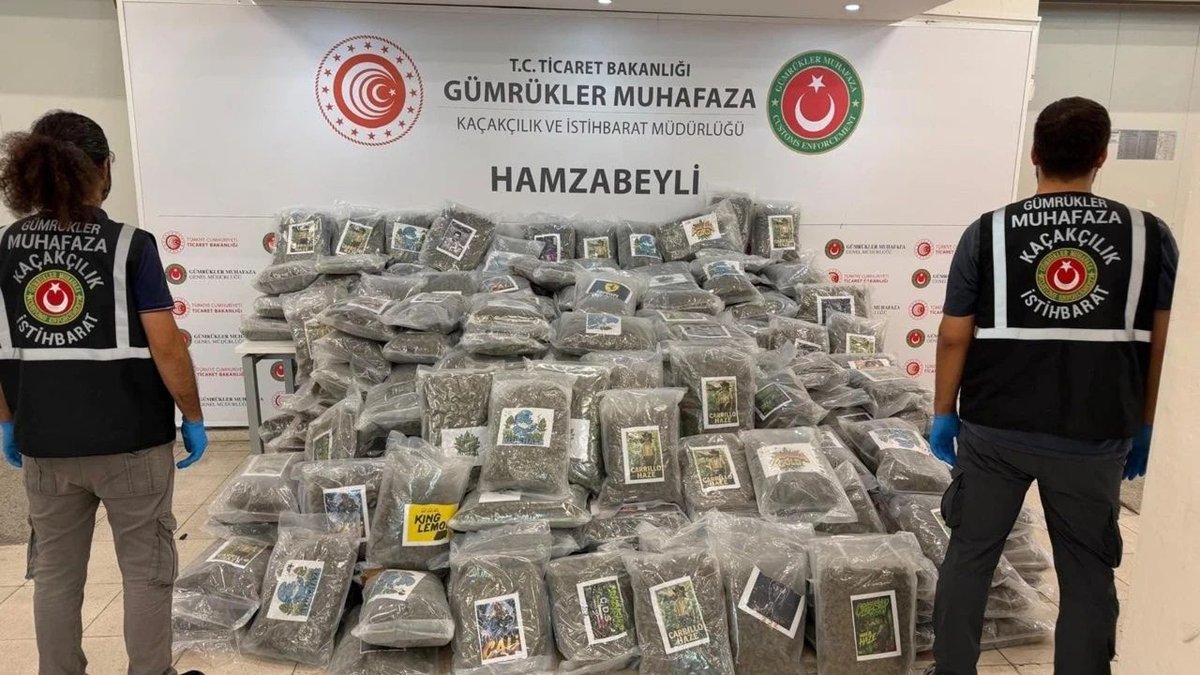 Hamzabeyli Sınır Kapısı’nda TIR’dan 287 Kilo Esrar Çıktı