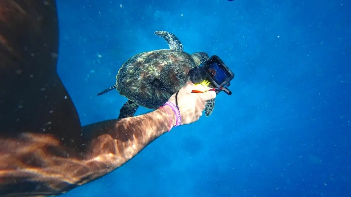 GoPro İçin Yolun Sonu Mu? Çinli Rakipler Dev Şirketi Satış Noktasına Getirdi